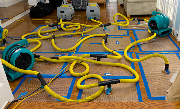 Professional Water Extraction technician working in Winston, OR